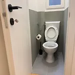 & Solution
